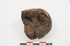 Foto von Harzrest (NHMW-PRAE-024039)